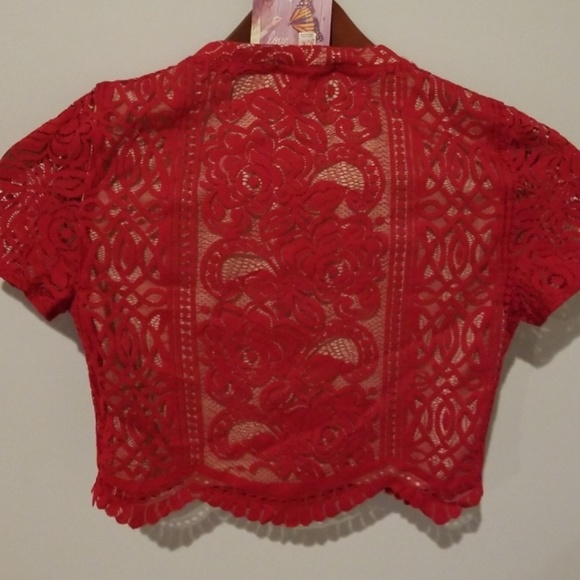Red Lace Crop Top - Picture 4 of 6